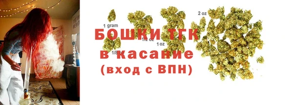 прущие грибы Абинск