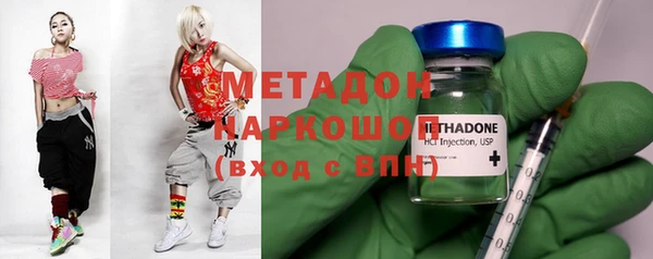 прущие грибы Абинск