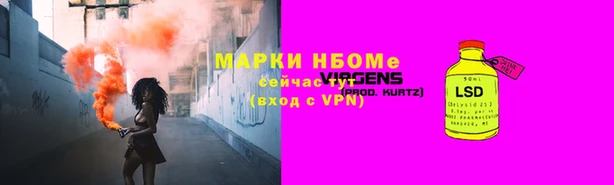 прущие грибы Абинск
