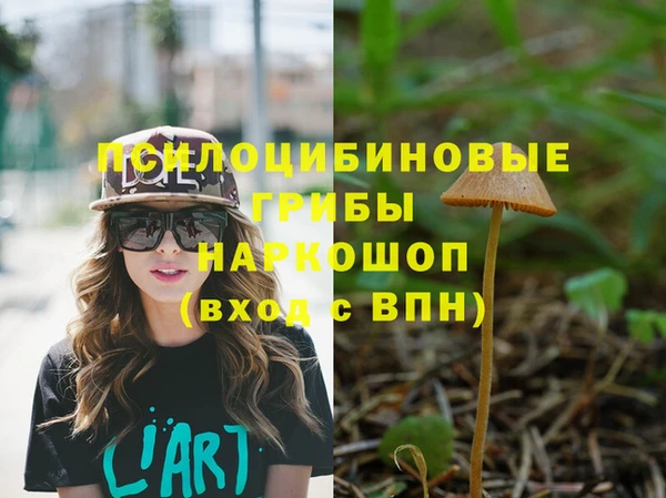прущие крисы Абаза