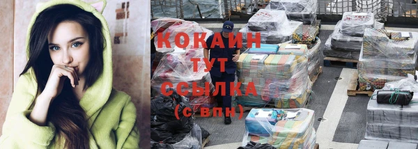 прущие грибы Абинск