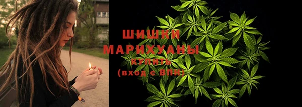 прущие грибы Абинск