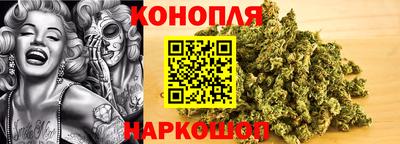 СК Гусь-Хрустальный