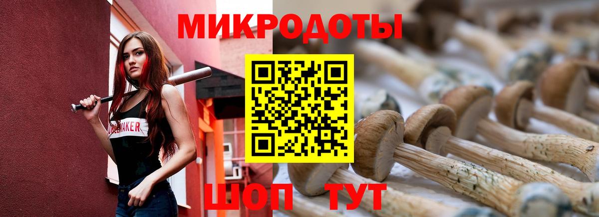 Псилоцибиновые грибы ЛСД Элиста